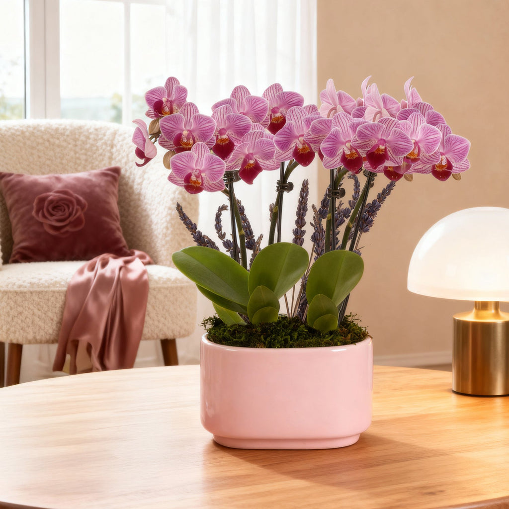 Pink Orchid Centerpiece