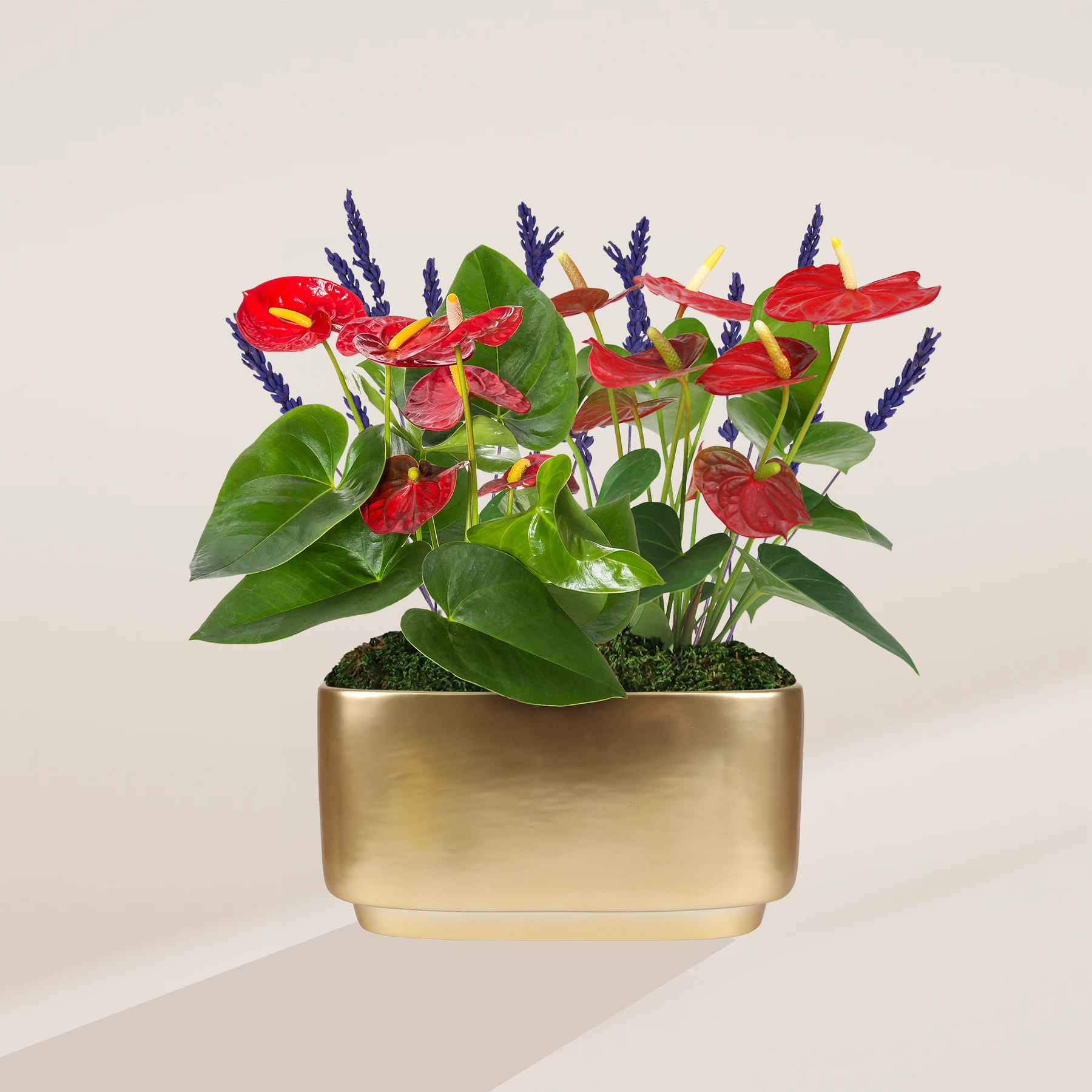 Red Anthurium Centerpiece