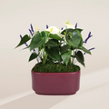 White Anthurium Centerpiece