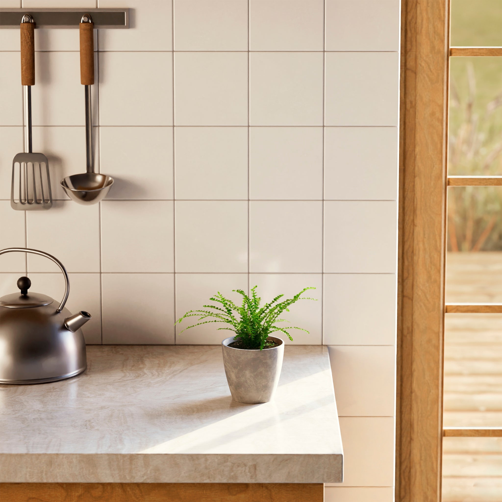 Lemon Button Fern